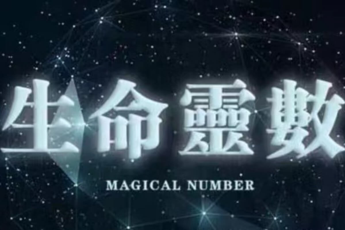 你和誰的生命靈數最速配