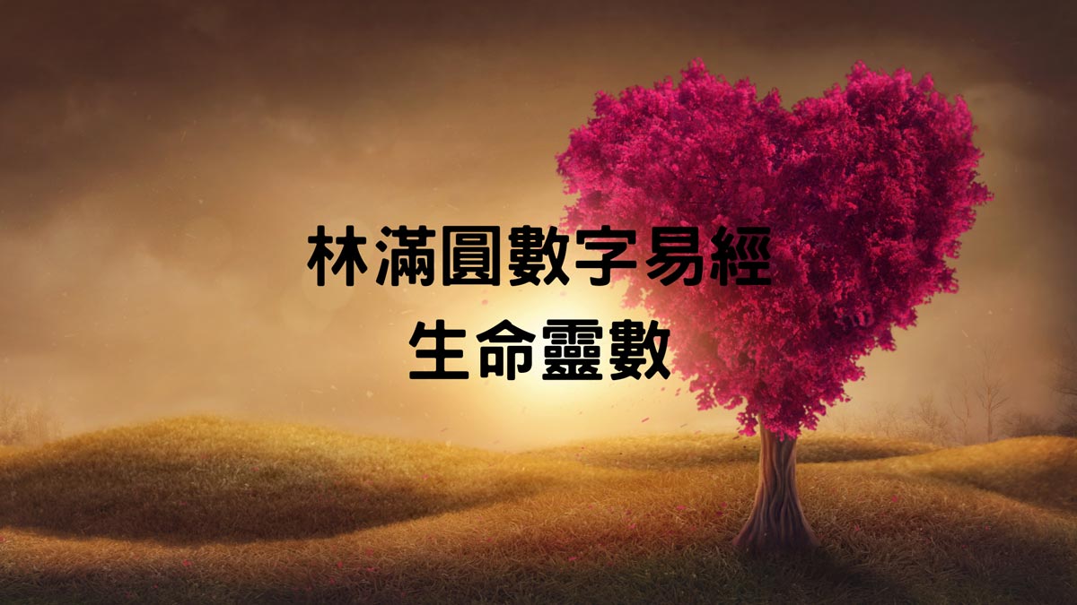 生命靈數愛情是什麼